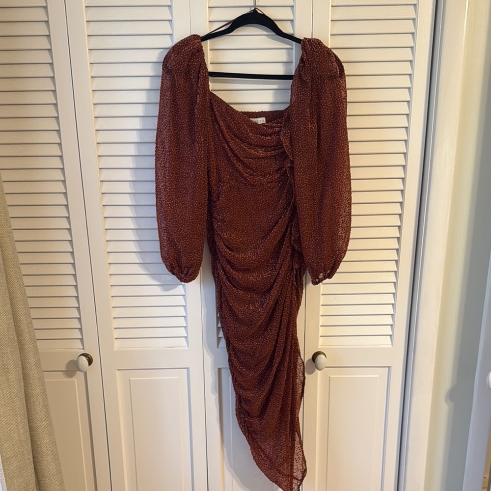 Elegant Rust Ruched Dress